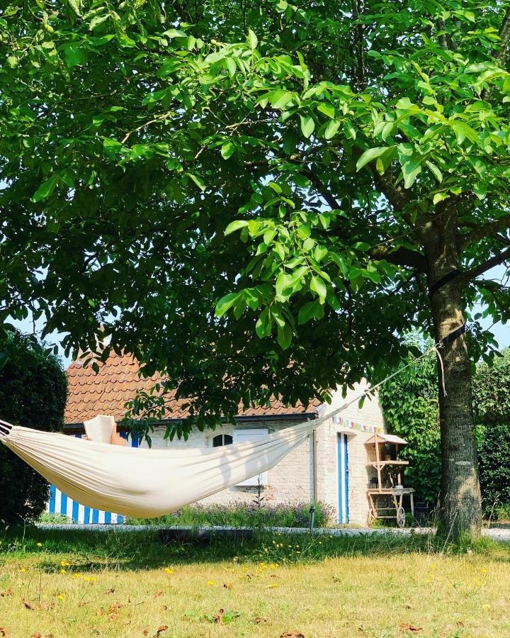 Hamiora Wellness B&B 데인제 외부 사진