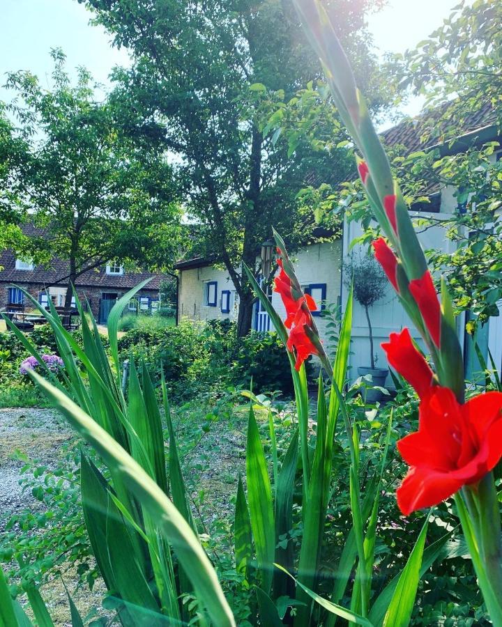 Hamiora Wellness B&B 데인제 외부 사진
