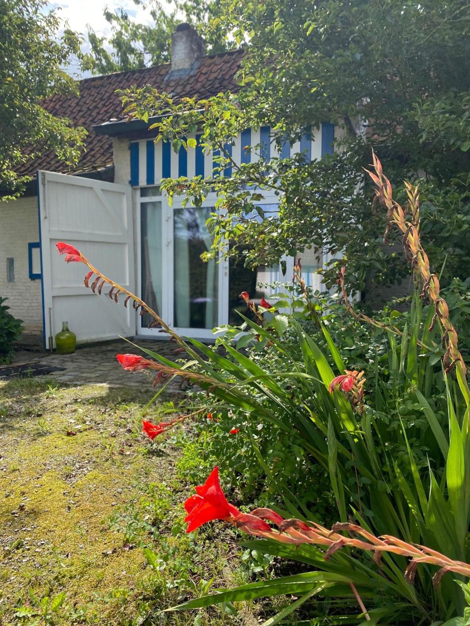 Hamiora Wellness B&B 데인제 외부 사진