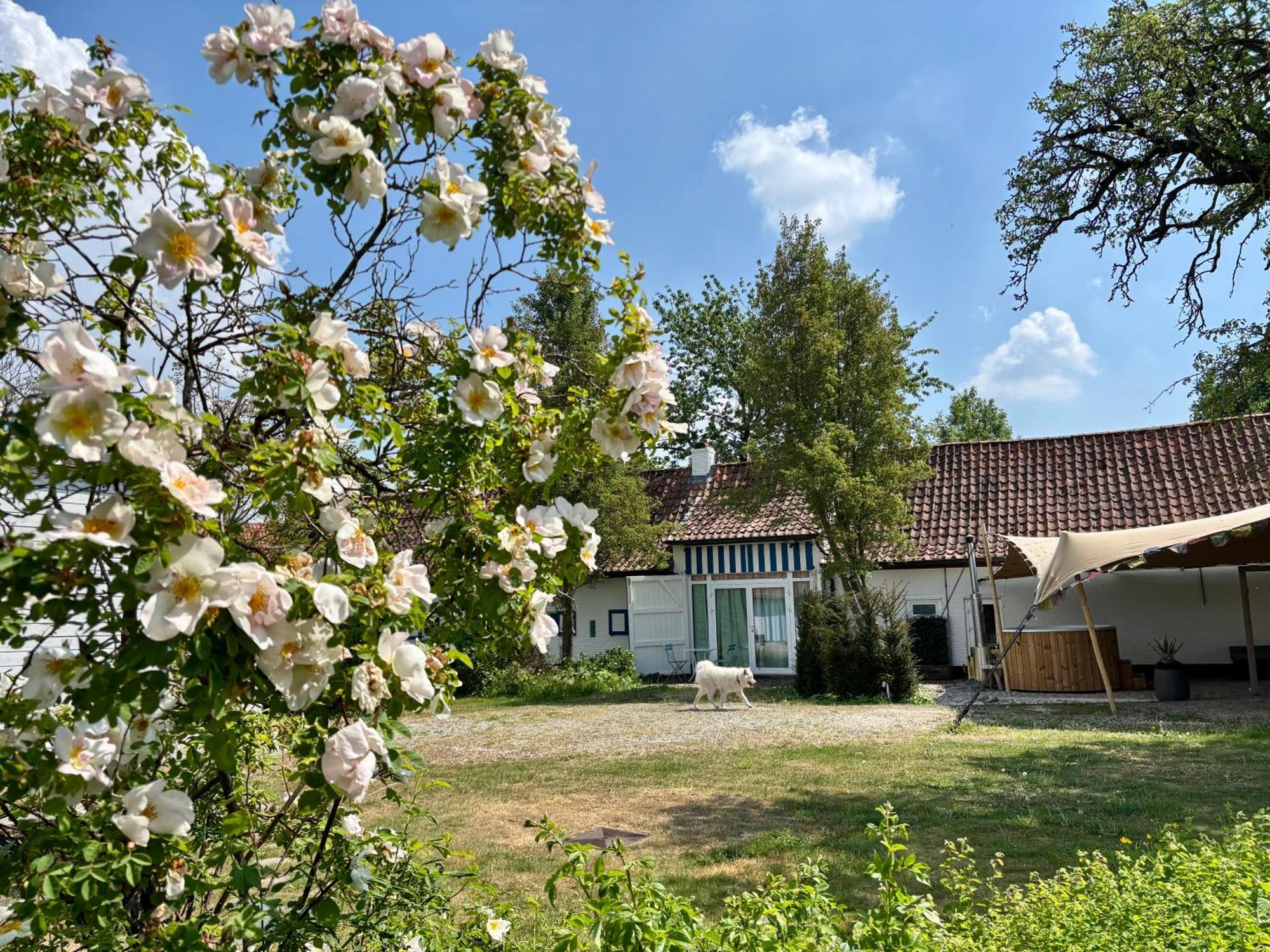 Hamiora Wellness B&B 데인제 외부 사진